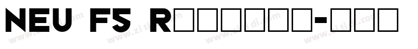 NEU F5 Regular字体转换